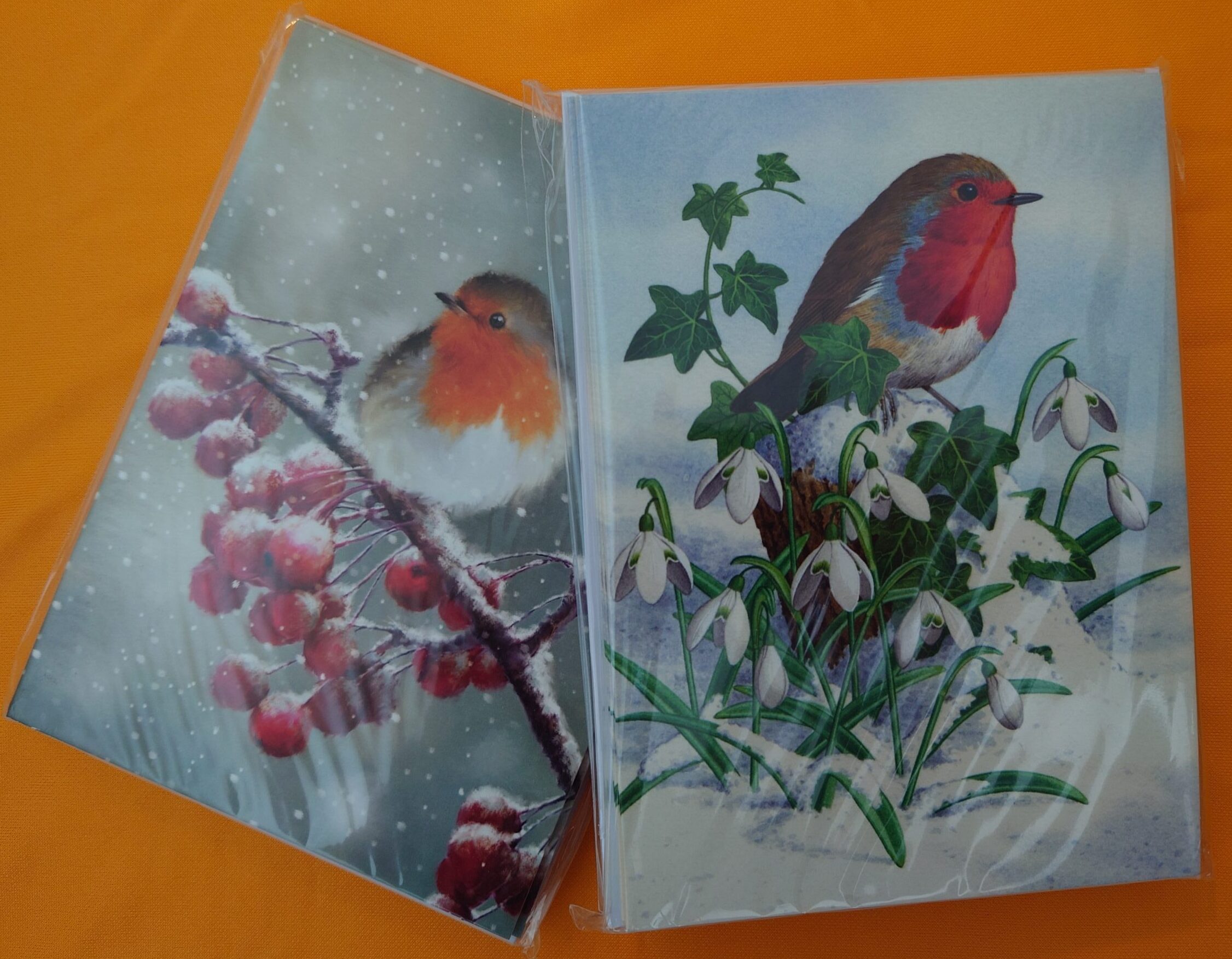 2 Christmas cards featuring Robins in a snowy scene